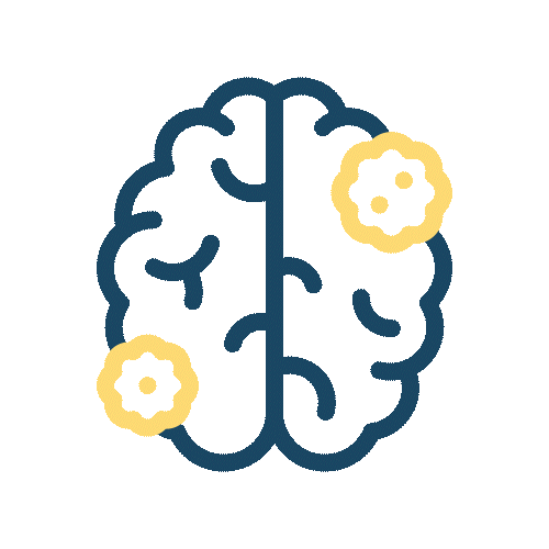 Brain